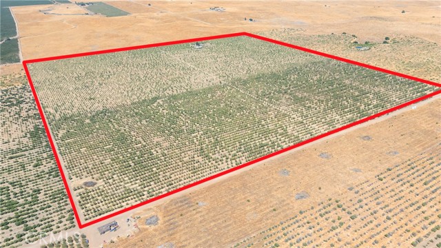 MLS #MC25188936 image #29