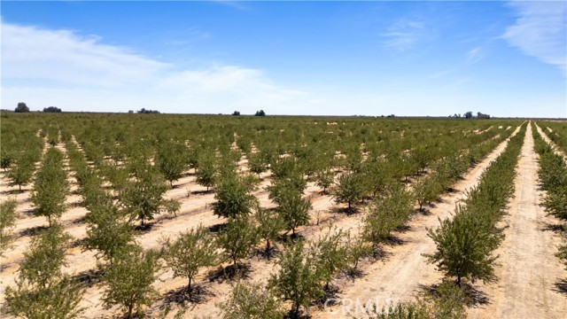 MLS #MC25188936 image #5