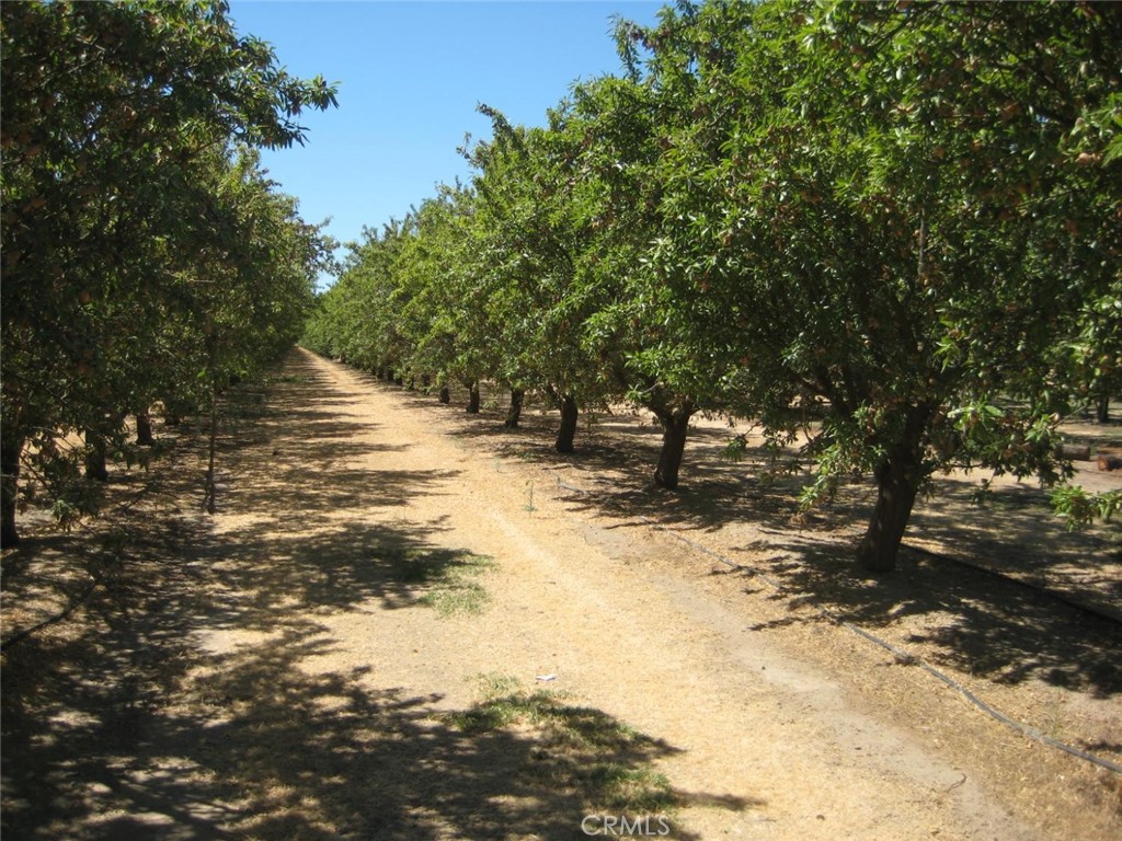 MLS #MC25195180 image #10