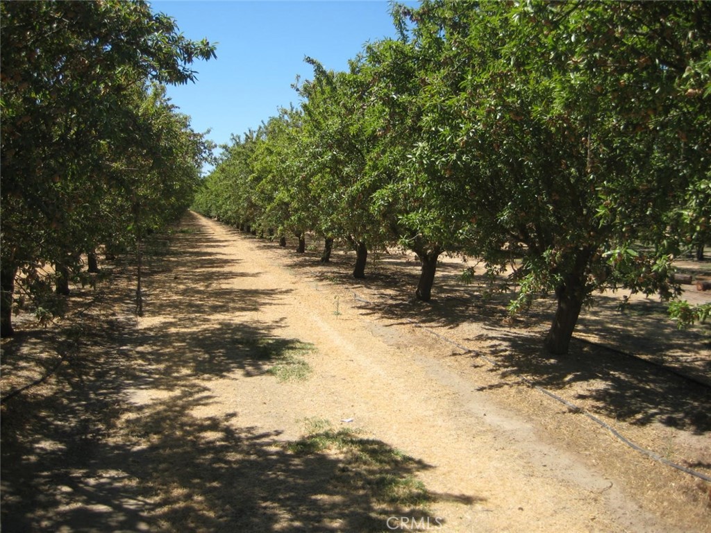 MLS #MC25195180 image #5