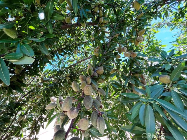 MLS #MC25197121 image #2