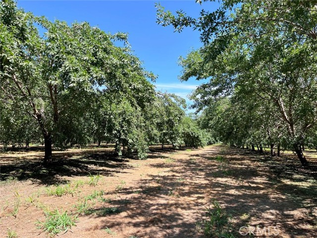 MLS #MC25197121 image #3