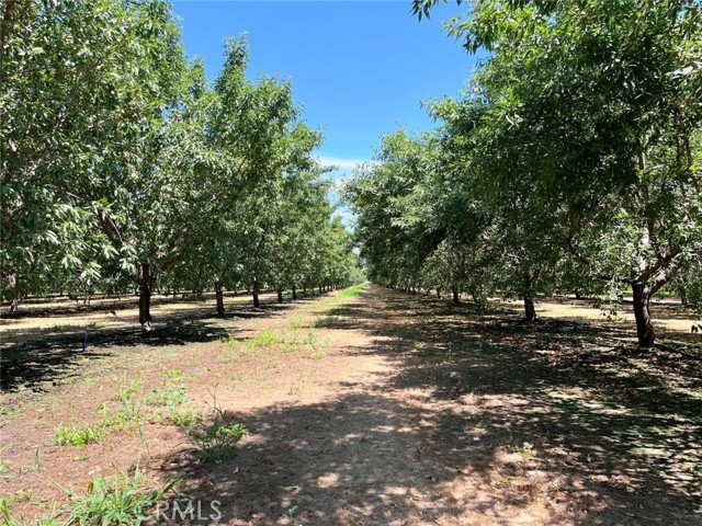 MLS #MC25197121 image #4