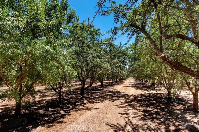 MLS #MC25197150 image #11