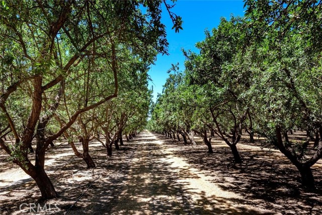 MLS #MC25197150 image #12