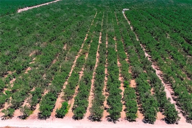 MLS #MC25197150 image #3