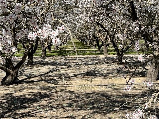 MLS #MC25197150 image #5