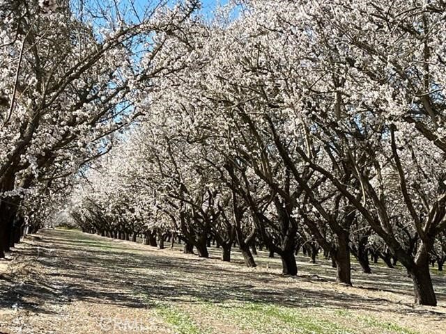 MLS #MC25197150 image #6