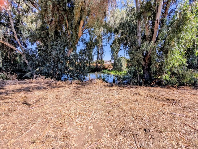 MLS #MC25201084 image #3