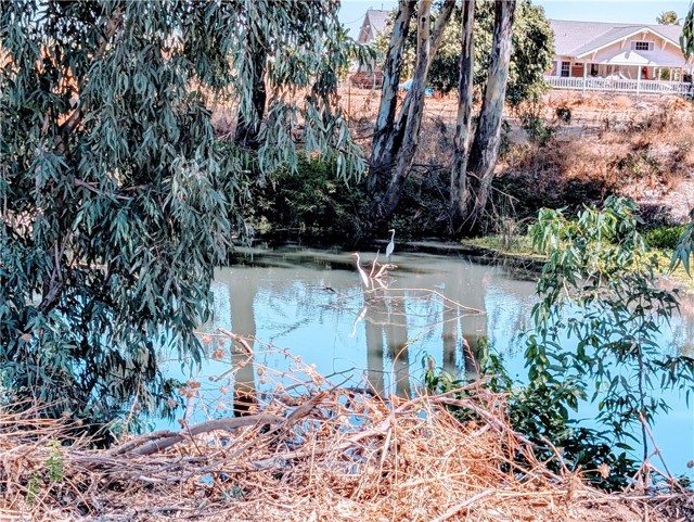 MLS #MC25201084 image #4