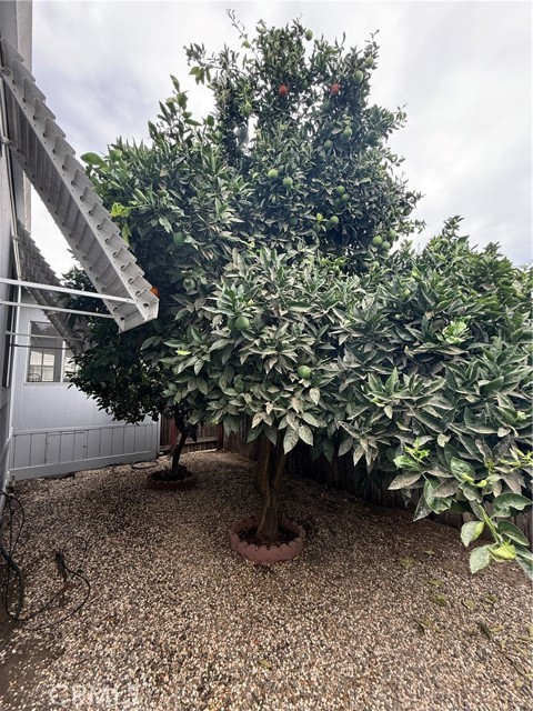 MLS #MC25246394 image #6