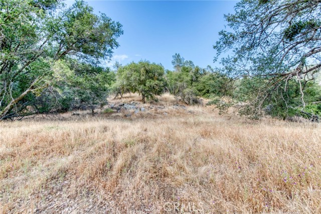 MLS #MD25170759 image #47