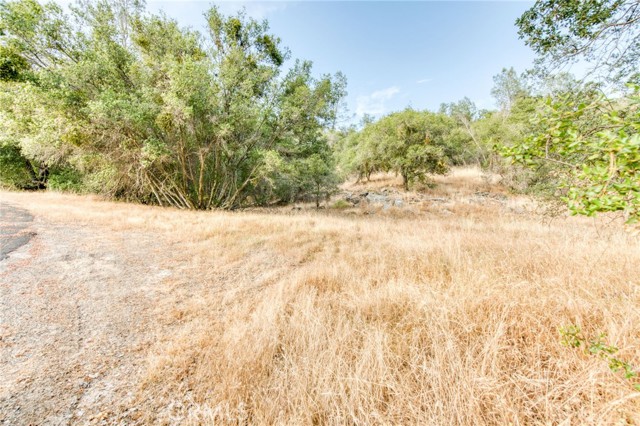 MLS #MD25170759 image #48