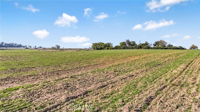 MLS #MD25265250 image #38