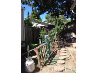 MLS #ML81425329 image #5