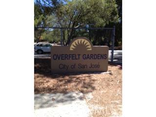 MLS #ML81425329 image #6