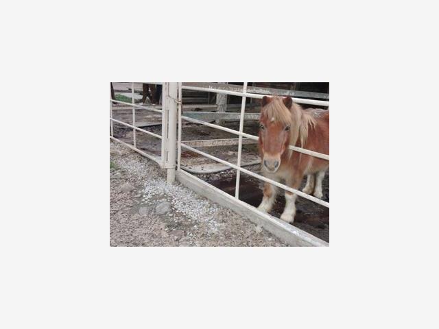 MLS #ML81446760 image #14