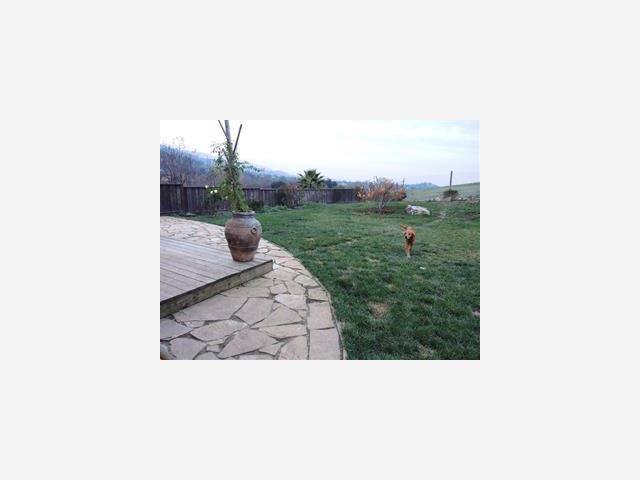 MLS #ML81446760 image #19