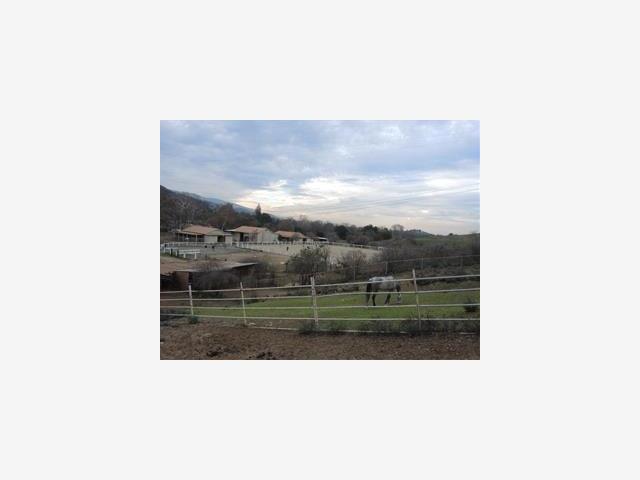 MLS #ML81446760 image #22