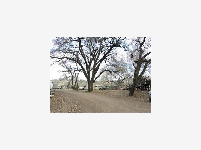 MLS #ML81446760 image #25