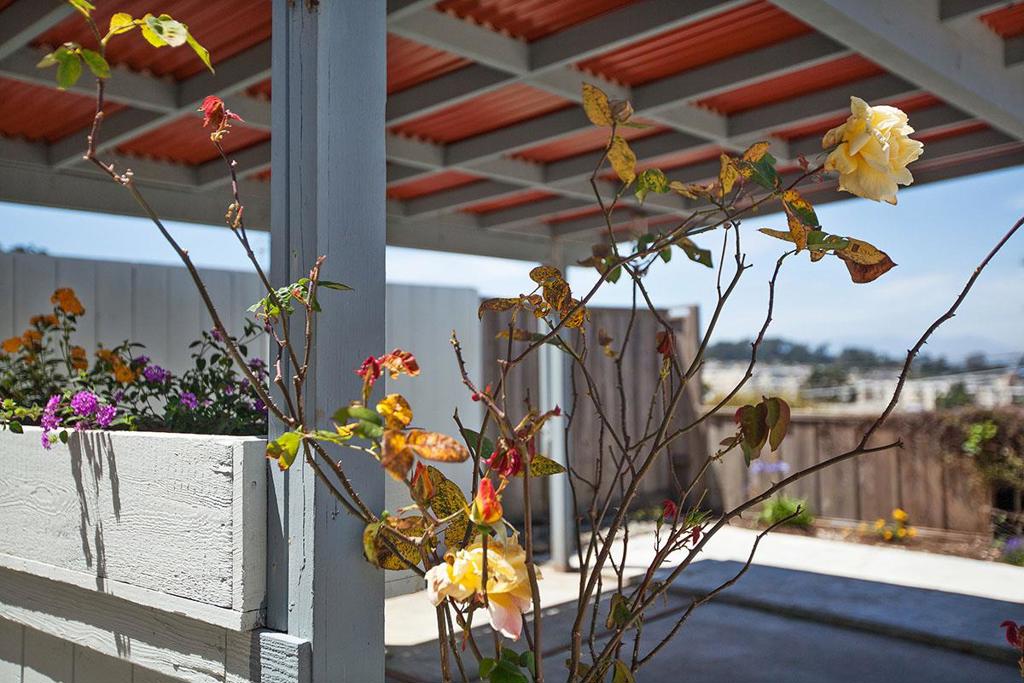 MLS #ML81483836 image #25