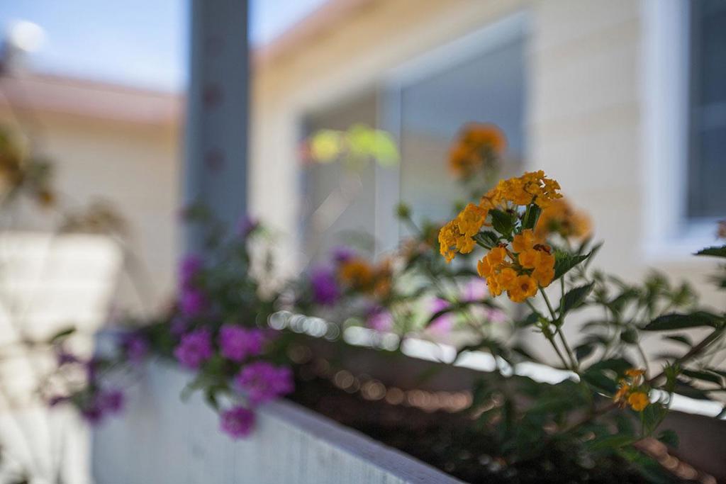 MLS #ML81483836 image #26