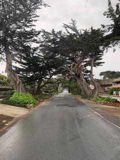 MLS #ML81813048 image #1