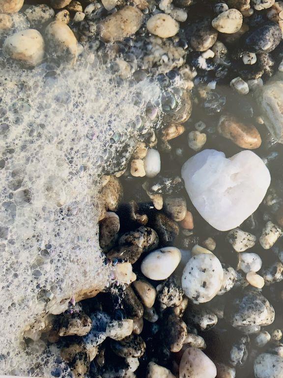 MLS #ML81813048 image #14