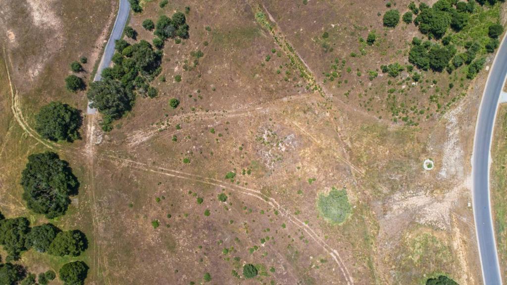 MLS #ML81877228 image #12