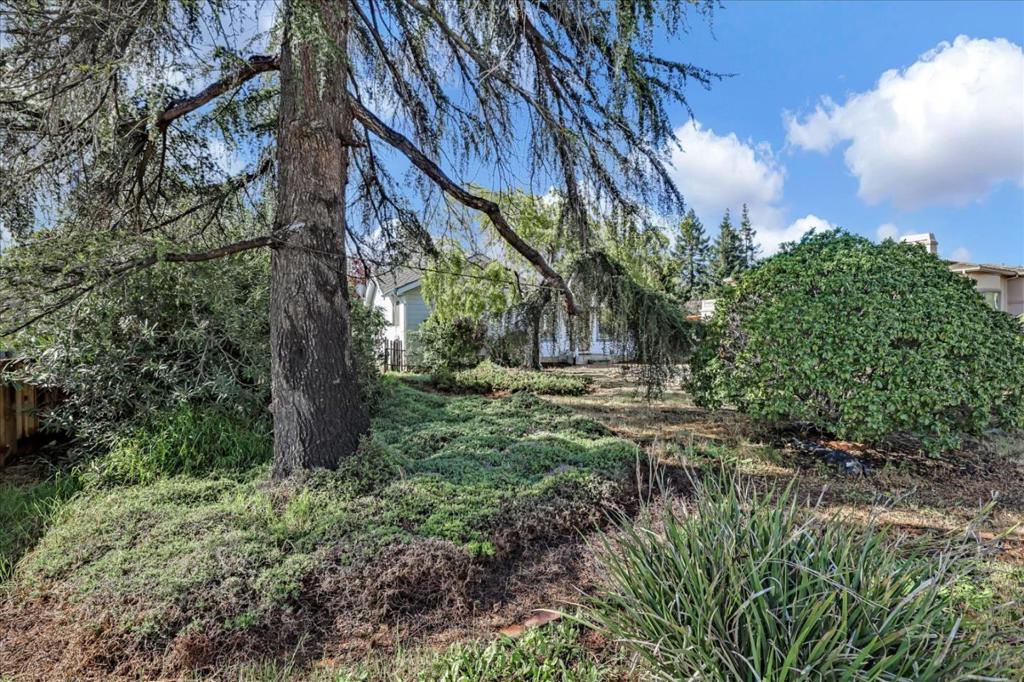 MLS #ML81884275 image #27