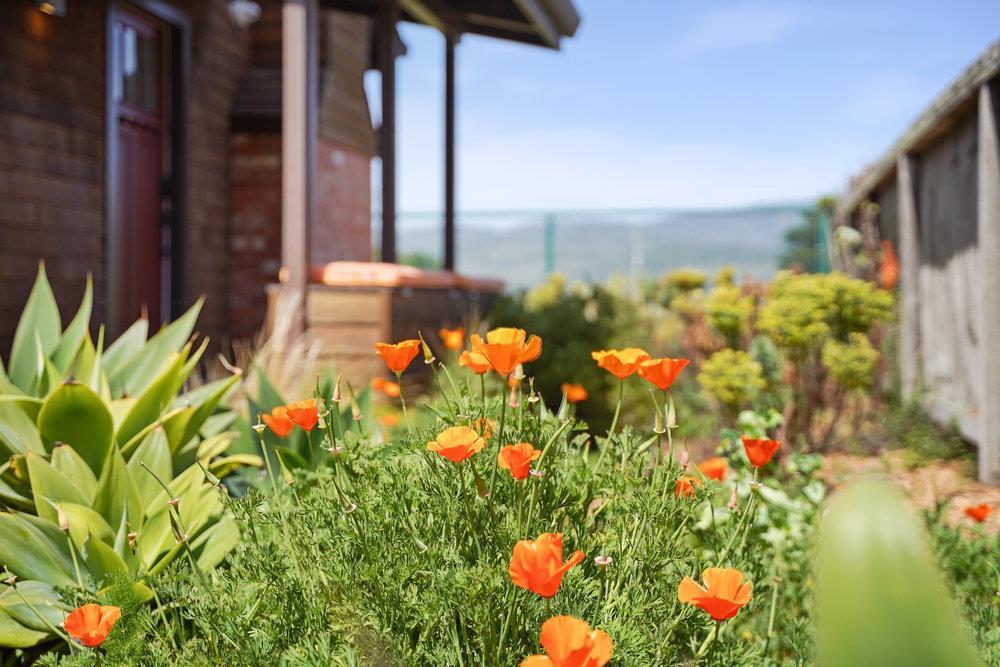 MLS #ML81886915 image #93