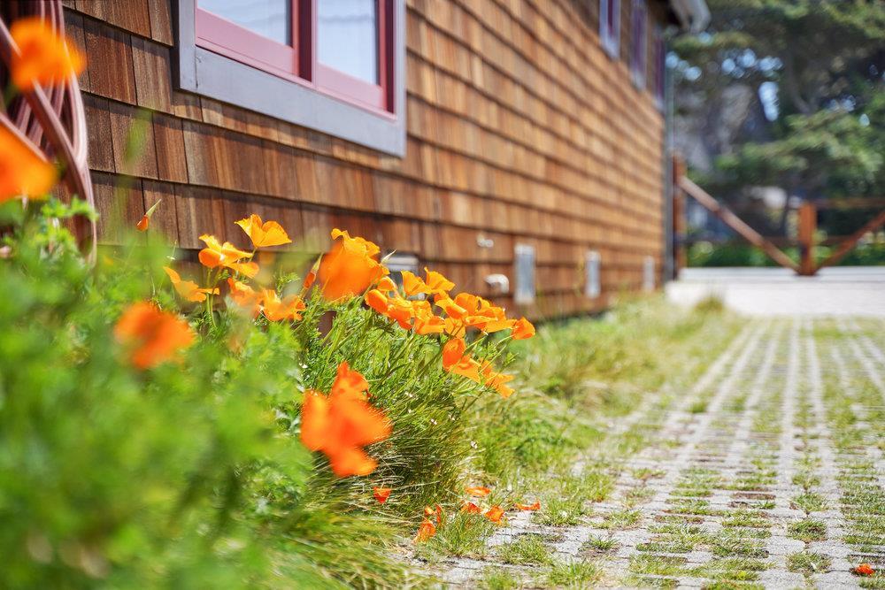 MLS #ML81886915 image #94