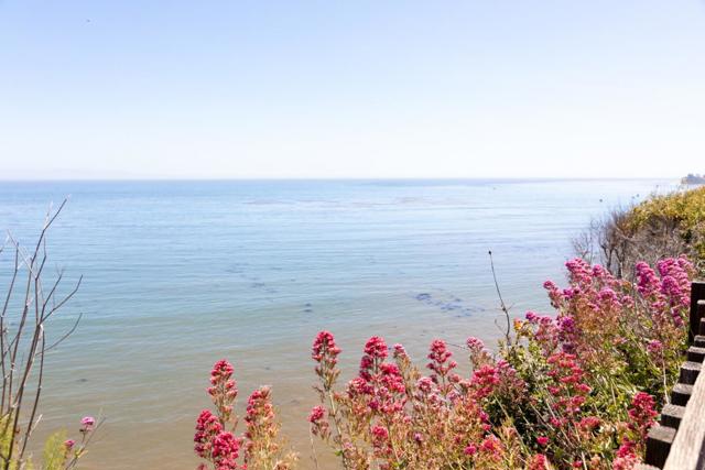 MLS #ML81905809 image #7