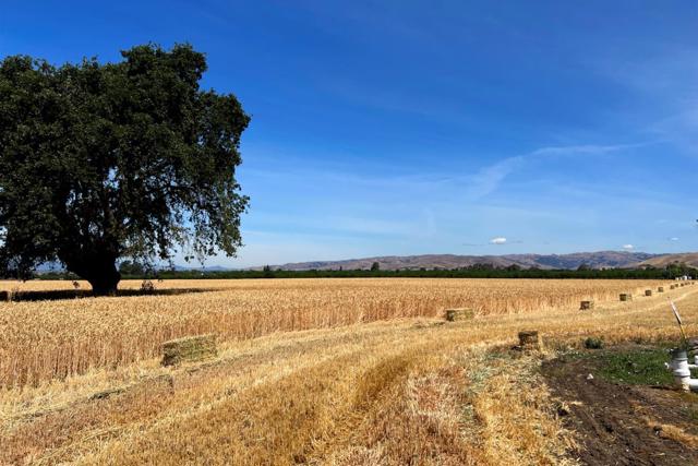 MLS #ML81906469 image #4