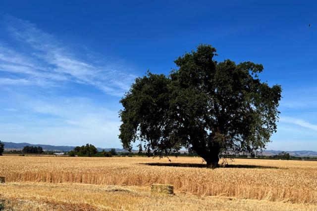 MLS #ML81906469 image #5