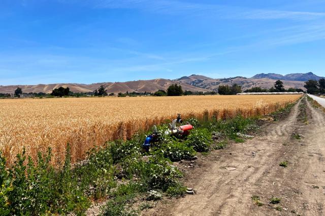 MLS #ML81906469 image #9