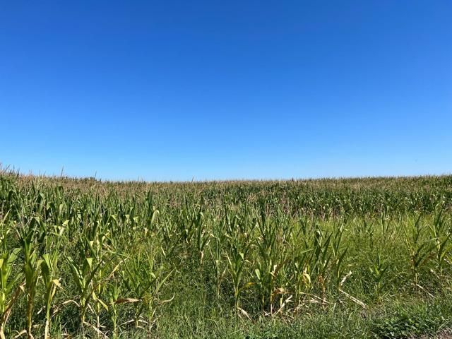 MLS #ML81908559 image #0