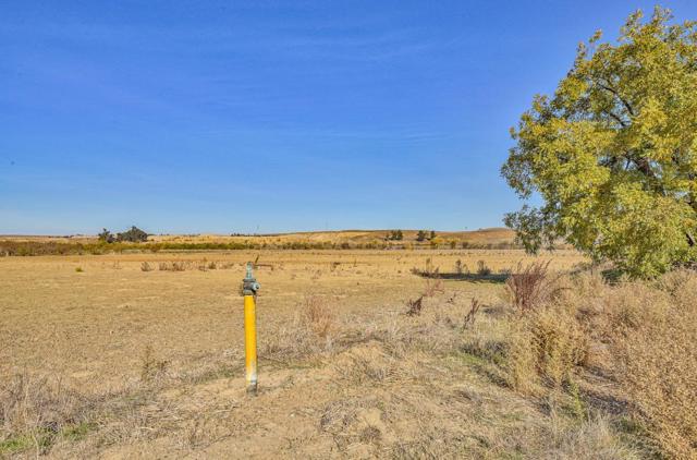 MLS #ML81913798 image #18