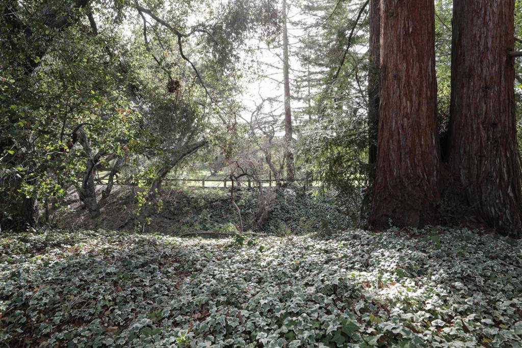 MLS #ML81920402 image #18