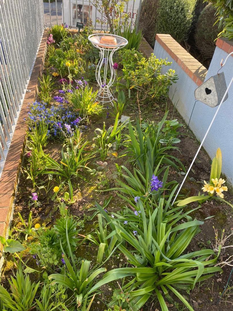 MLS #ML81936945 image #24