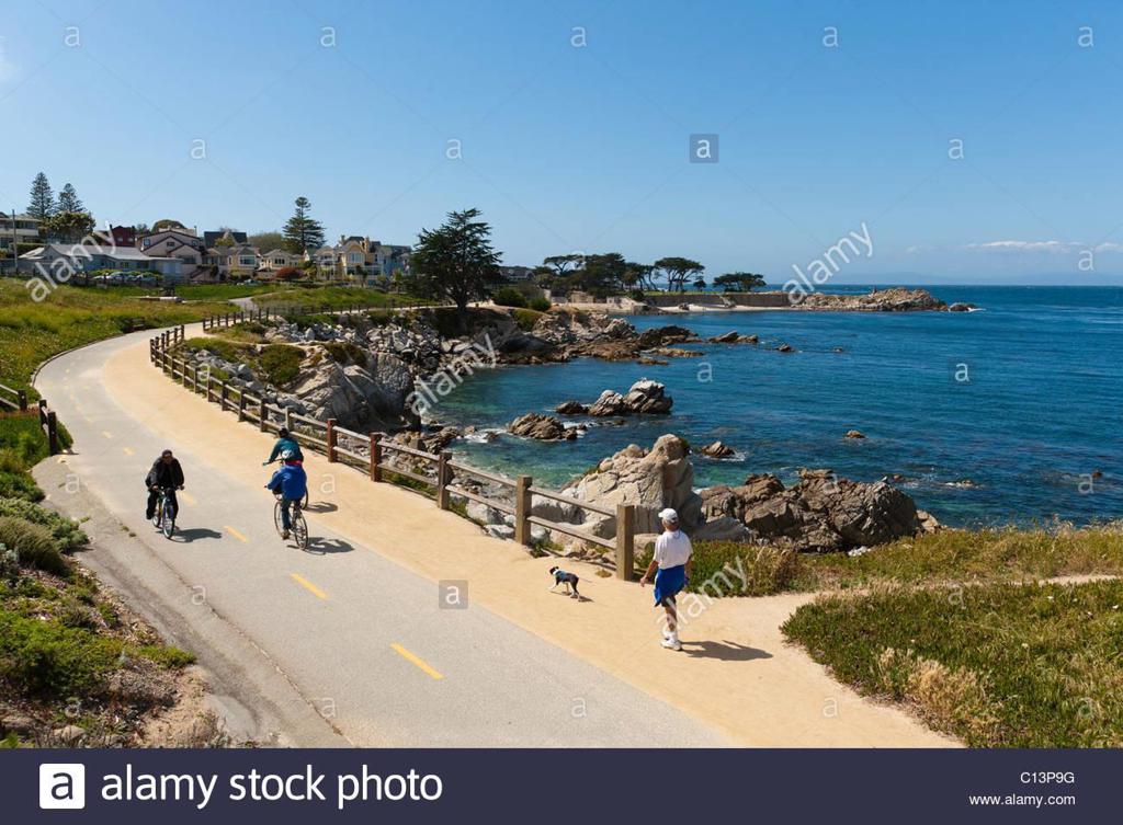 MLS #ML81936945 image #26