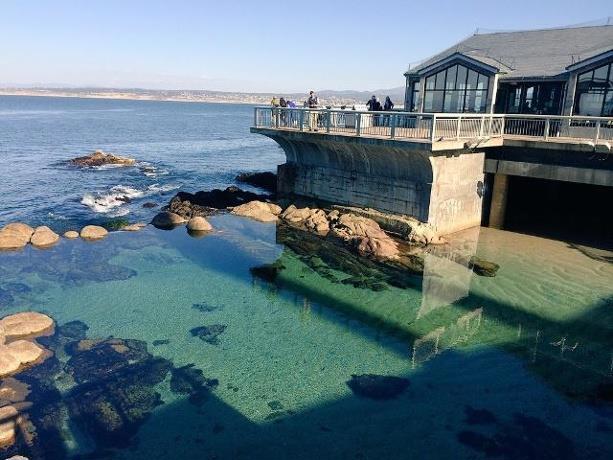 MLS #ML81936945 image #30