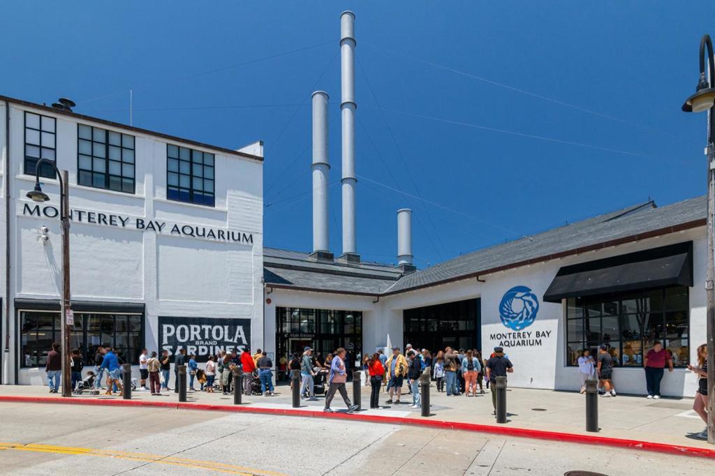 MLS #ML81936945 image #31