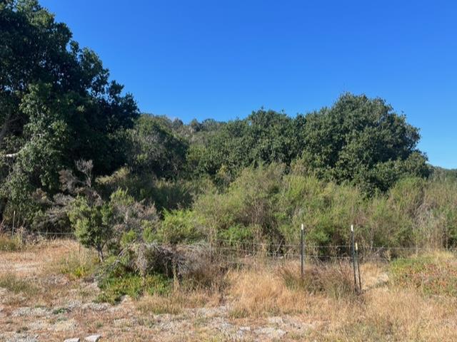 MLS #ML81942616 image #5