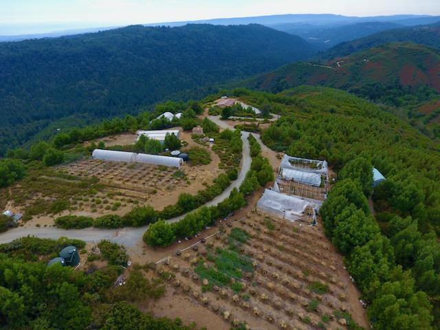 MLS #ML81953193 image #0