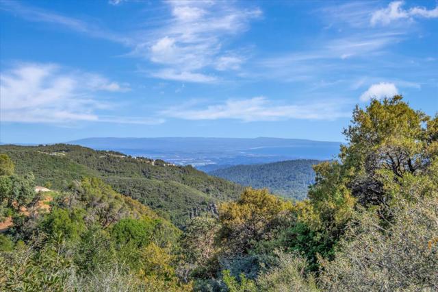 MLS #ML81953193 image #29