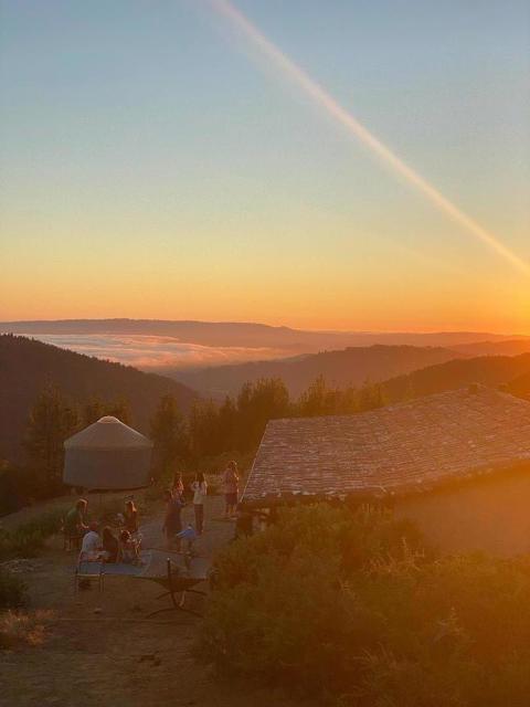 MLS #ML81953193 image #34