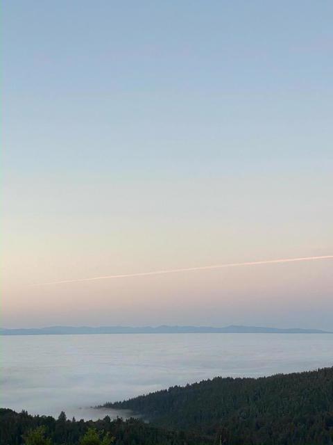 MLS #ML81953193 image #35