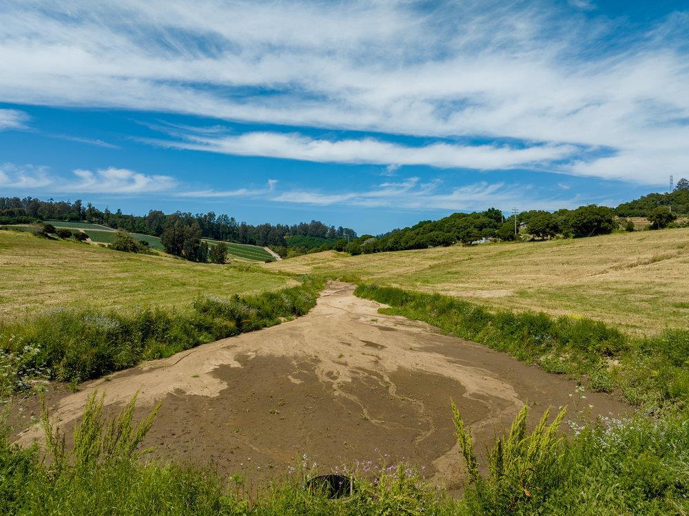 MLS #ML81965598 image #12