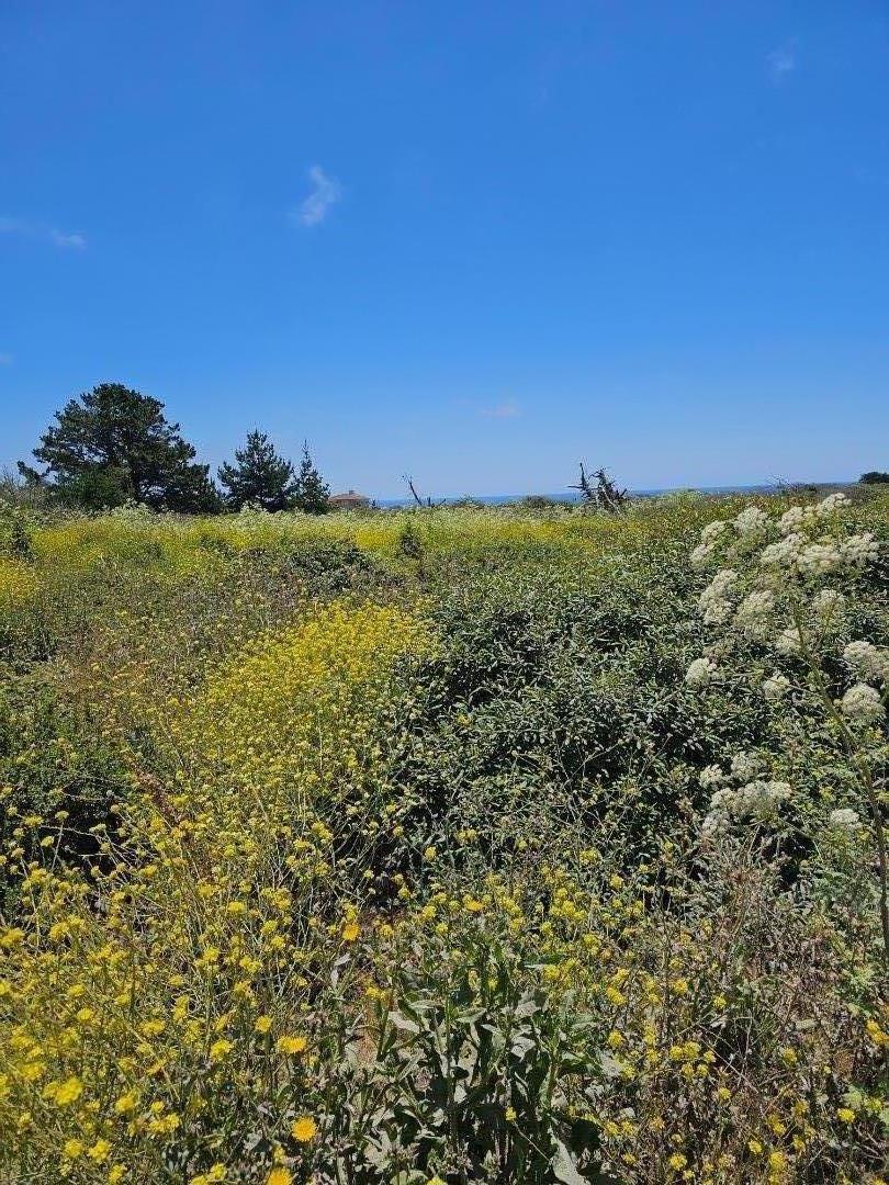 MLS #ML81971865 image #0